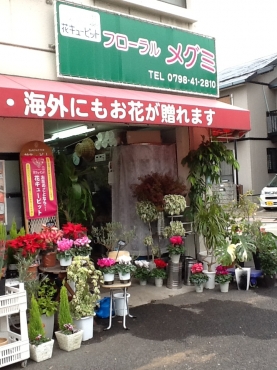 「フローラルメグミ」　（兵庫県西宮市）の花屋店舗写真1